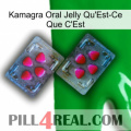 Kamagra Oral Jelly What Is It 15